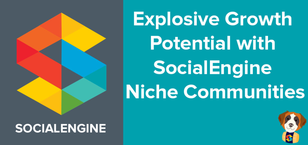 Growth with SocialEngine niches